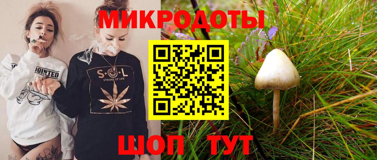 Темрюк  Галлюциногенные грибы Psilocybine cubensis  Псилоцибиновые грибы мицелий  Вход с VPN 